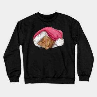Kitten in Santa hat, with no background Crewneck Sweatshirt